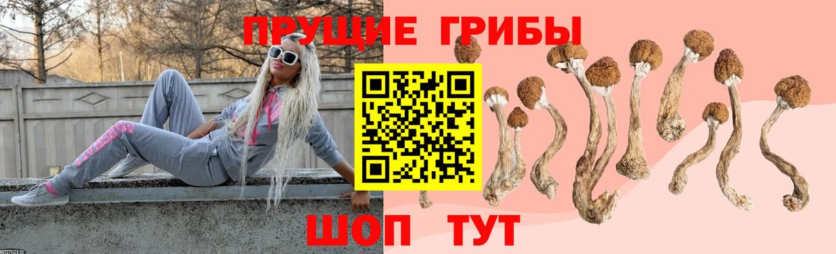 Псилоцибиновые грибы GOLDEN TEACHER  Псилоцибиновые грибы GOLDEN TEACHER  Фролово  дарнет шоп  Вход с VPN 